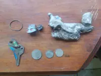 myfinds.webp