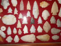 DSCN1891.webp