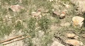 boulderfield.webp