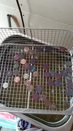 IMG_20161206_122658323.webp