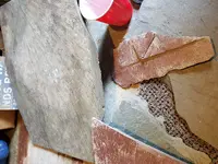 15902668283221978517023344555809.webp