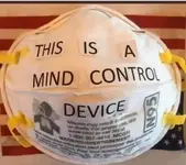 2020 like slaves and mad dogs.webp