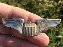 wings.webp wings.webp
