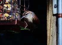 DSCN8925_InPixio.webp