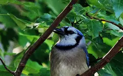 DSCN8933_InPixio.webp