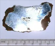 Sikhote-Alin with Troilite.webp