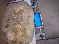 20200806_172625.webp