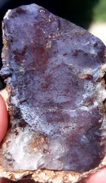 20200629_111501.webp