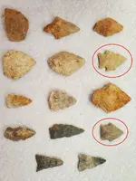 arrowhead2.webp
