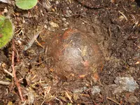DSCN4418.webp