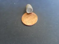 dug bullet2.webp