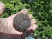 DSCN4495.webp