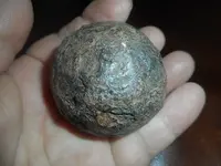 DSCN4536.webp