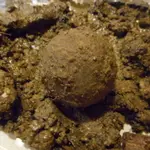DSCN2149.webp