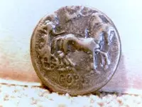 coin1.webp