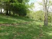 site.webp