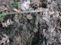 pocketwatch in hole.webp