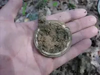pocketwatch in hand.webp