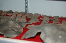 Pottery1.webp