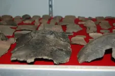 Pottery4.webp