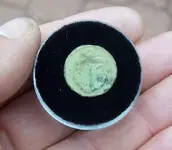 250_Navy_Button_1.webp
