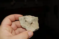 Pottery17.webp