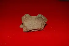 Pottery20.webp