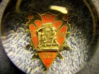 pin.webp