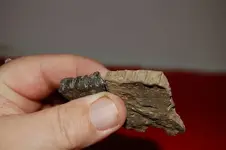 Pottery23.webp