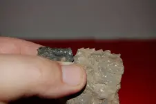 Pottery24.webp