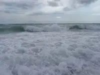 surf1.webp