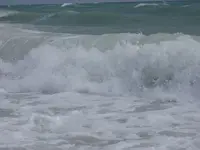 surf2.webp