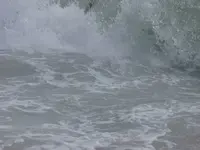surf3.webp