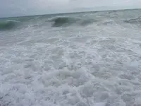 surf4.webp