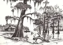 cajuncountry (3).webp