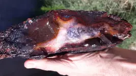20200807_090010(0).webp