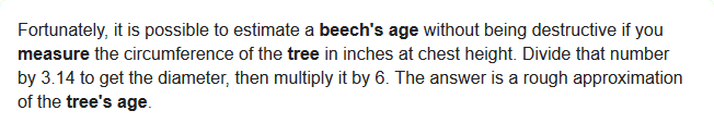 Screenshot_2020-07-13 how to measure the age of a beech tree - Google Search.png