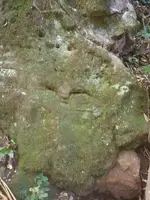 Rosto 2.webp