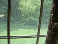 DSCF0001.webp