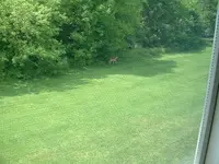DSCF0003.webp
