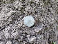 1000a.webp