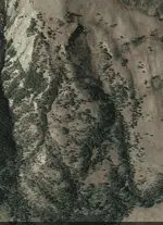 Fossil Fish.webp Fossil Fish.webp