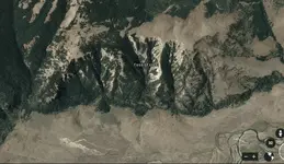 Fossil Forest Close up.webp