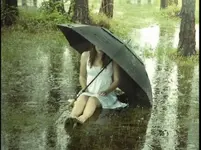 ari.webp