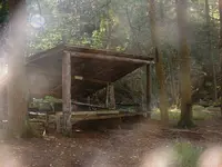 Bailey's Grove.webp