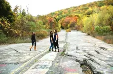 centralia painted road.webp