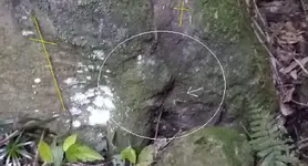 Pedra Estaca 5 - Paint 3.webp