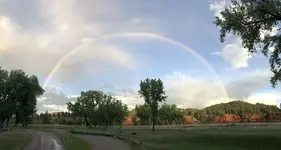 After the storm.webp