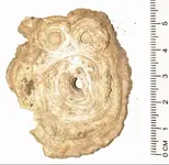 Gypsum.webp