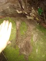 Corte na Pedra 2.webp